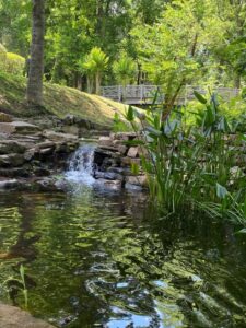 Pond Contractor 2