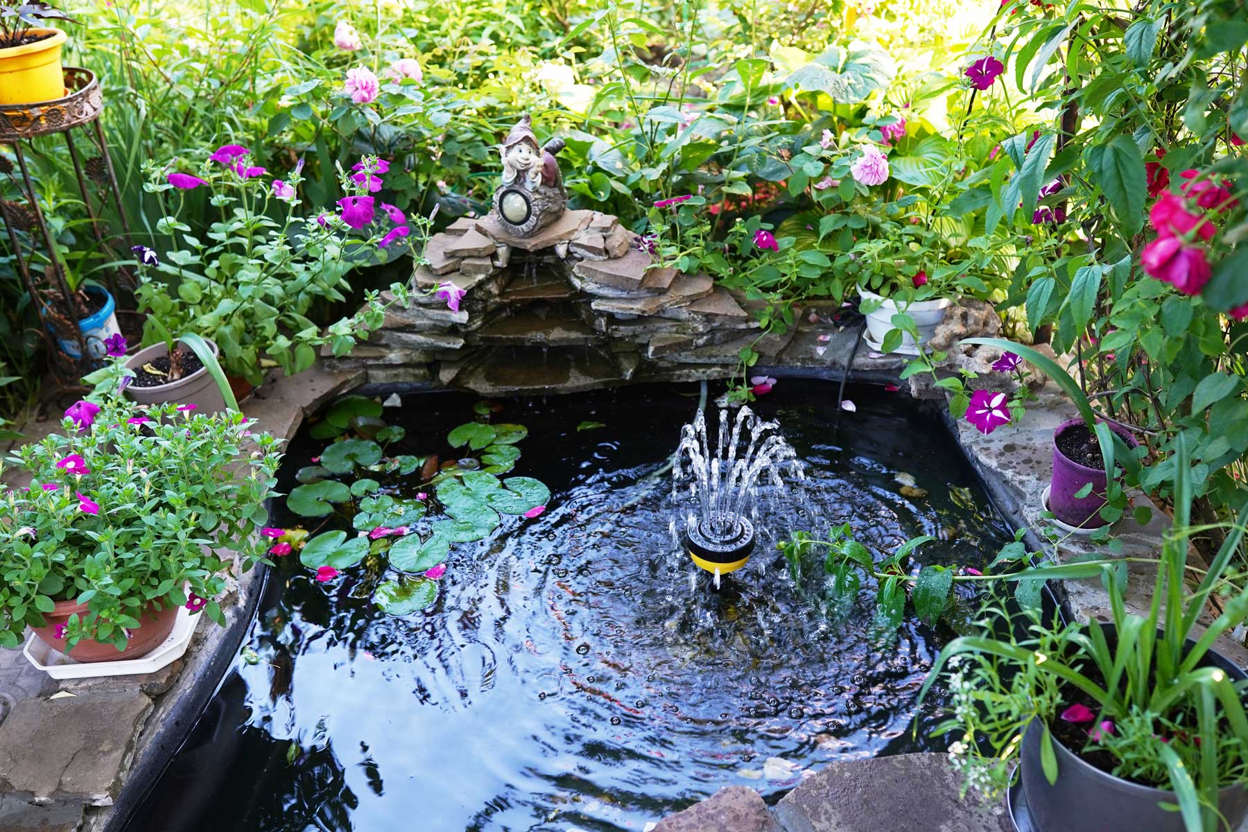 Waterfall and pond filtration services in Brandon, MS