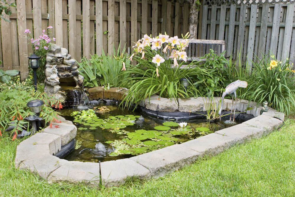Pond maintenance and repair in Gluckstadt, MS