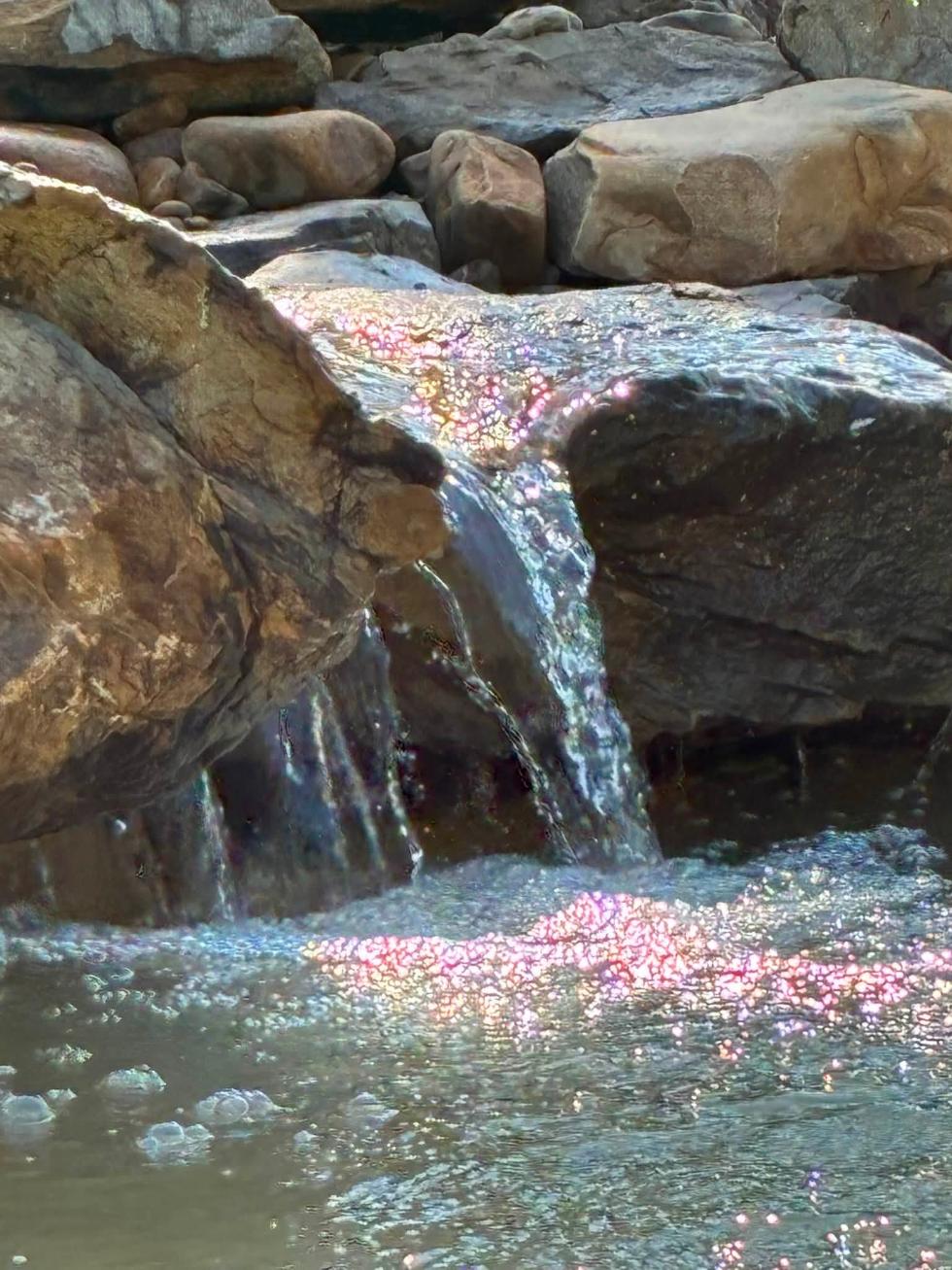 Custom pond and koi pond installation near Ross Barnett Reservoir