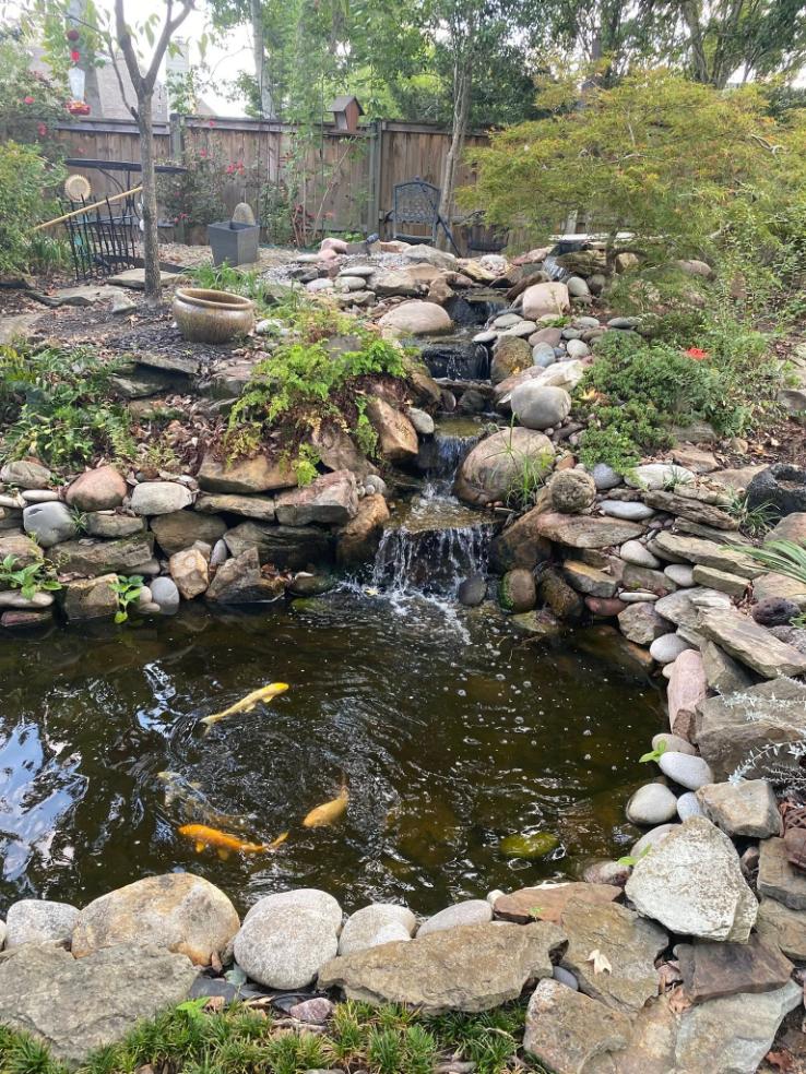 Waterfall and pond filtration services in Brandon, MS