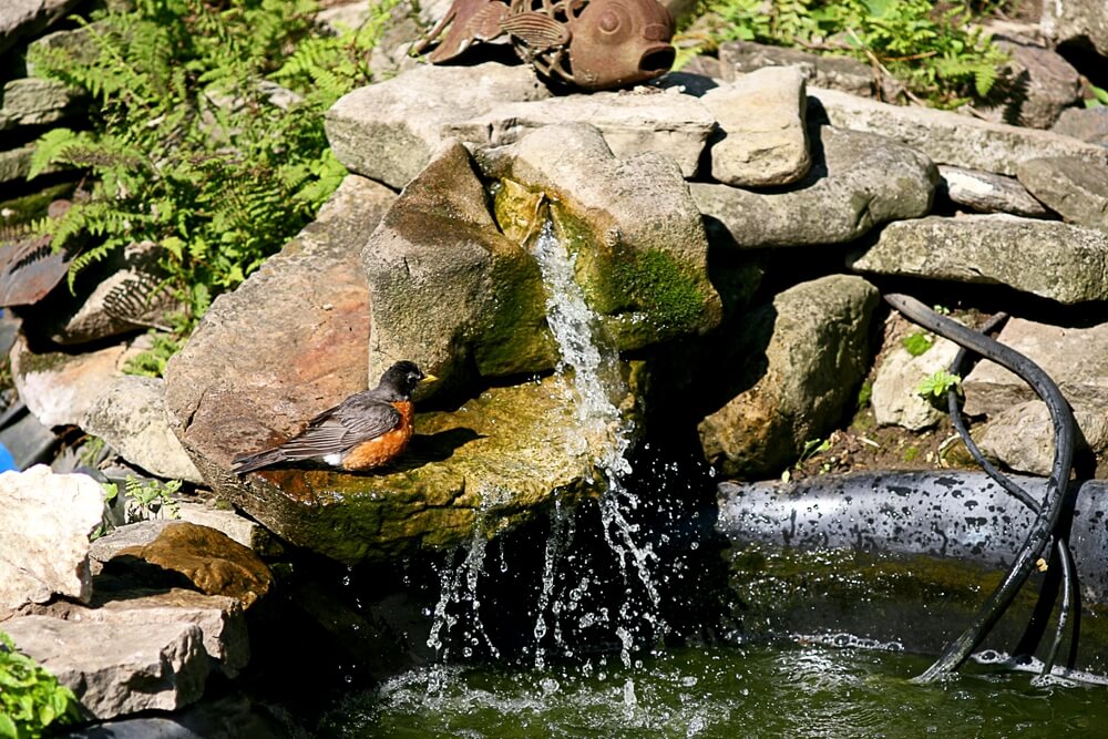 Local Waterfall Builders Who Know Gluckstadt's Ground