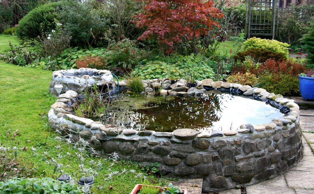 Waterfall and pond care in Gluckstadt, MS